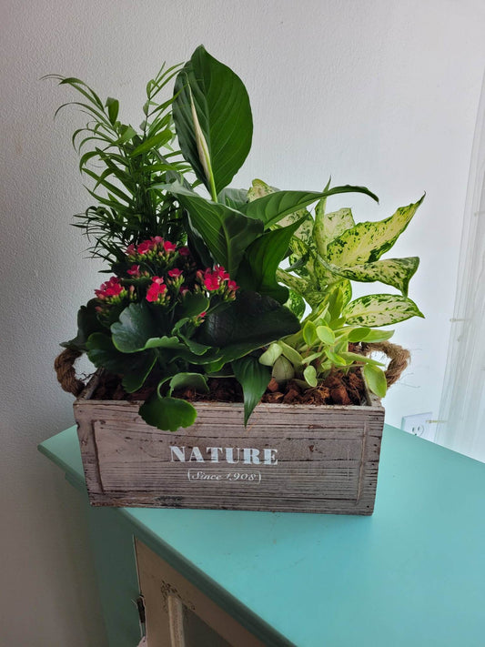 Nature Tropical Crate