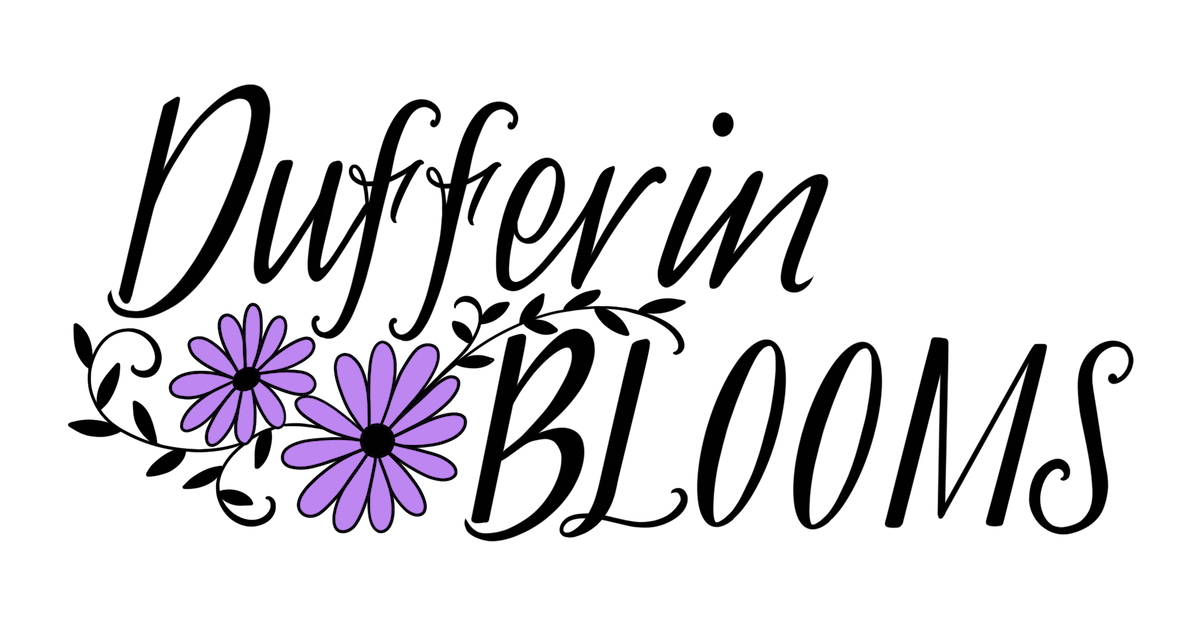 Dufferin Blooms