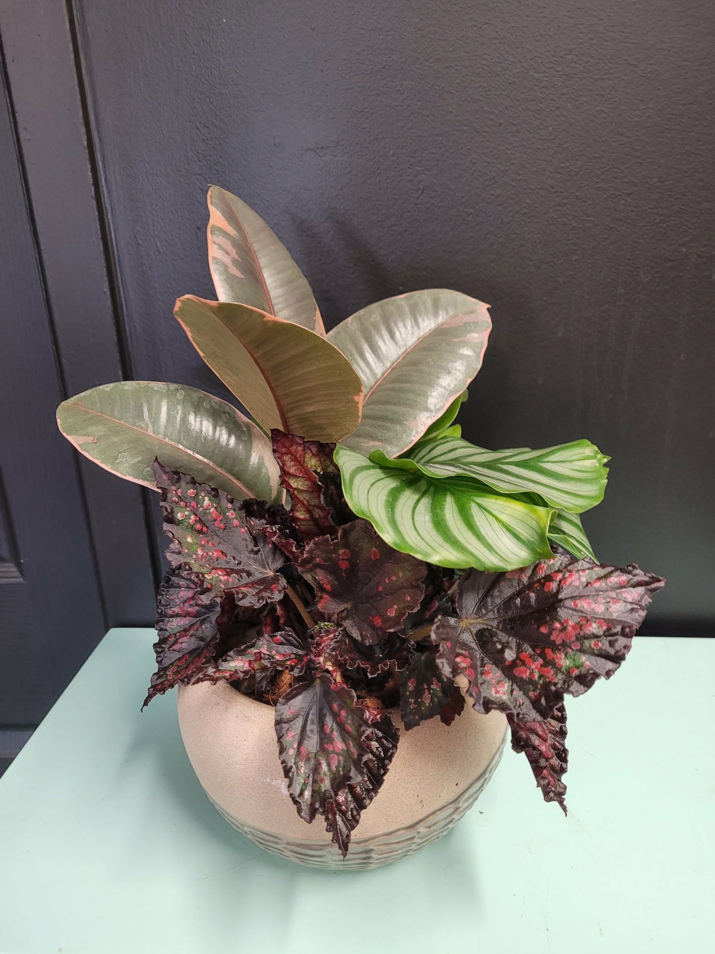 Honeycomb Mixed Tropical Planter