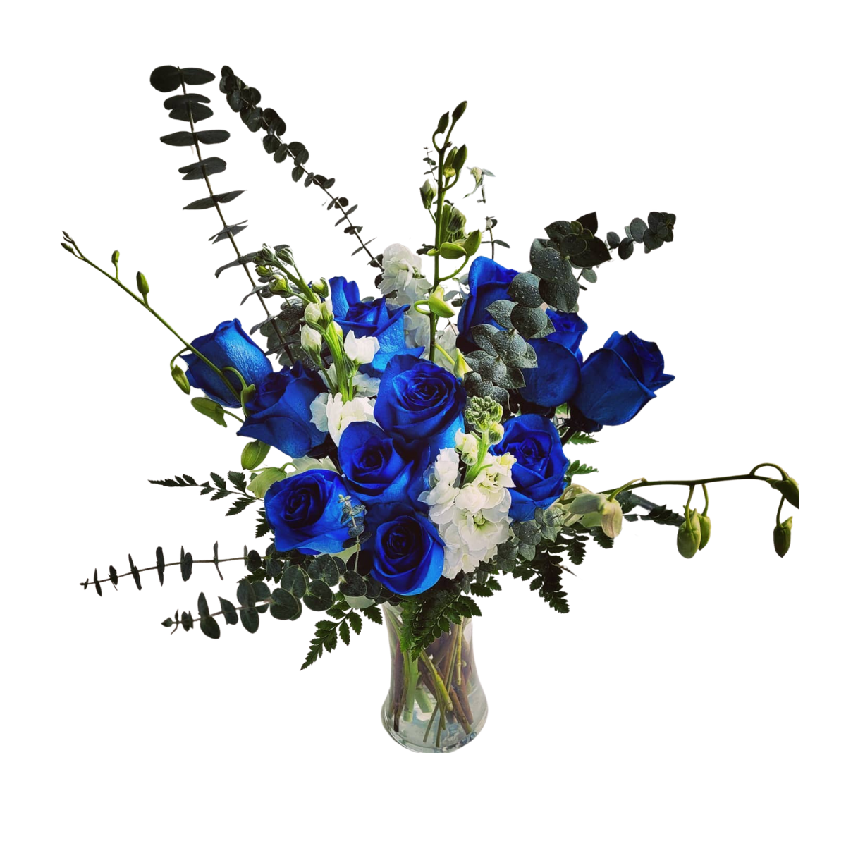 Colour Me Blue