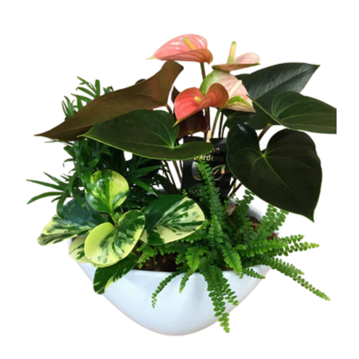 Large Eileen Planter