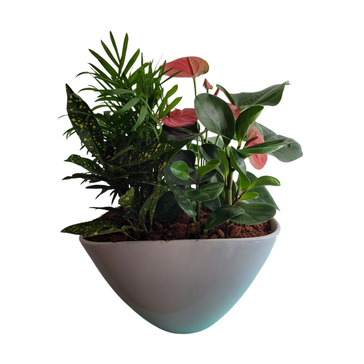Medium Eileen Planter