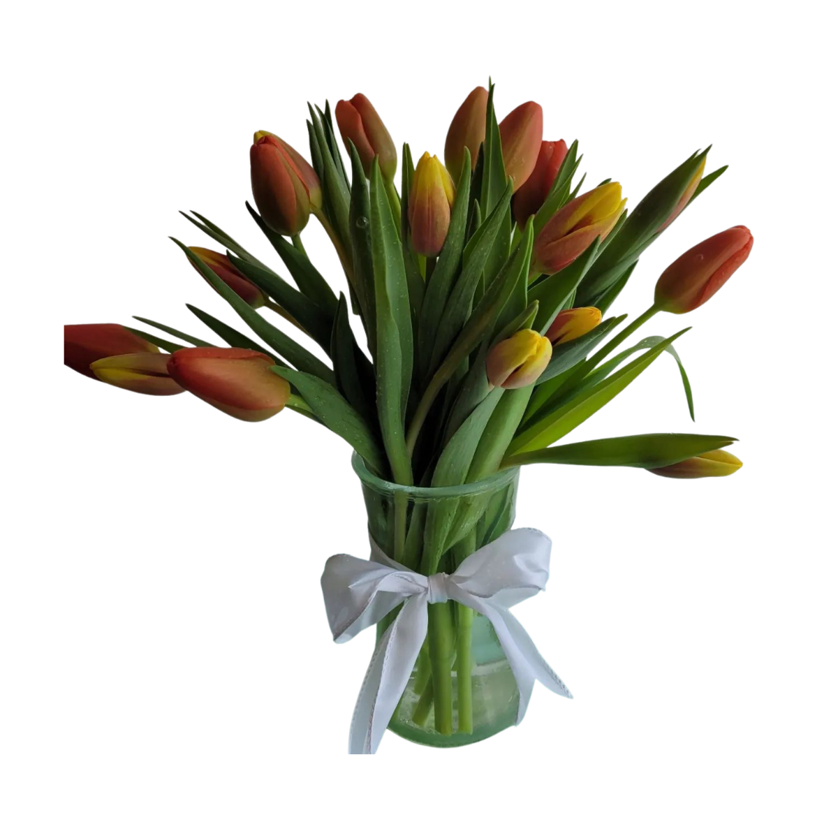 Tip Toe Tulips
