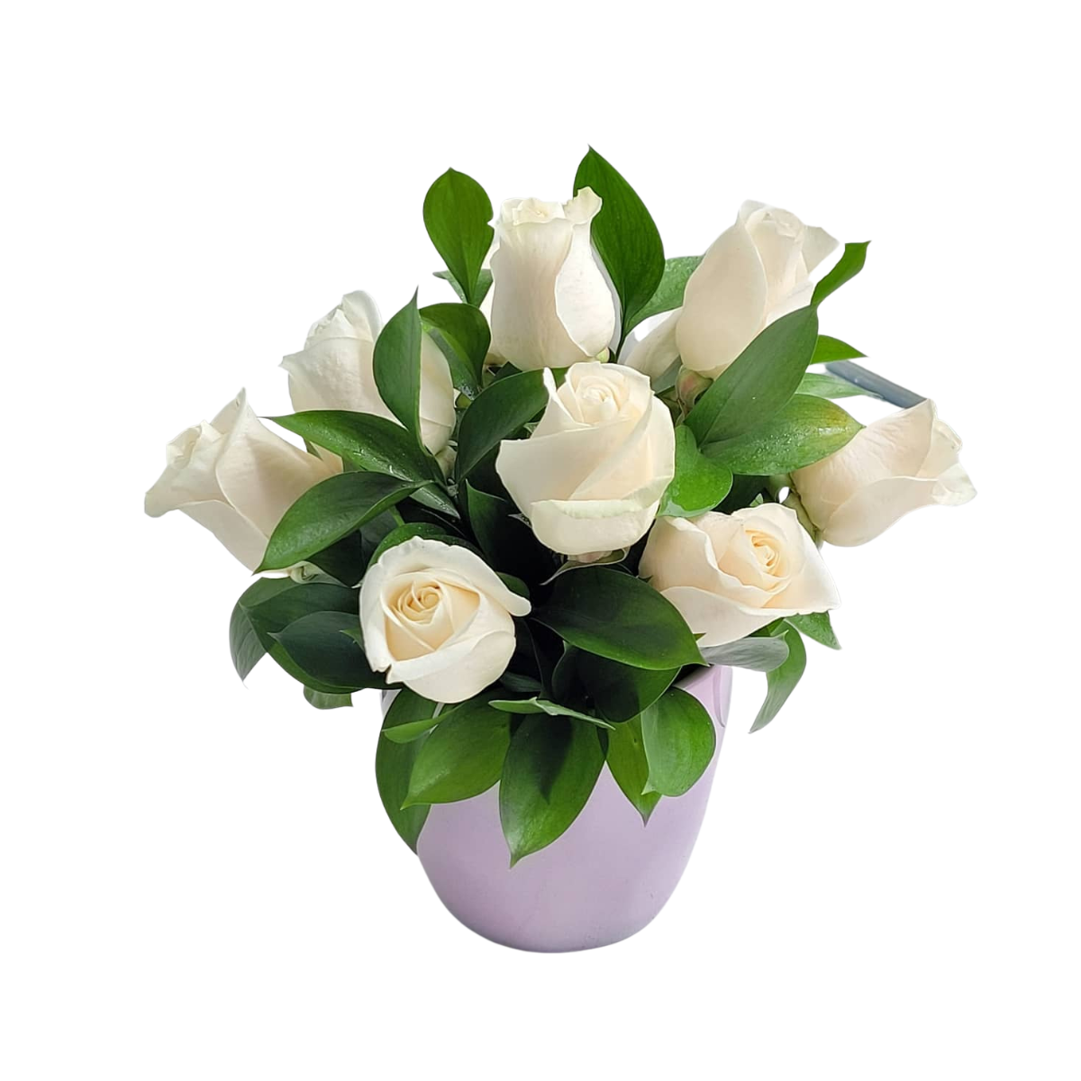 Winter Roses